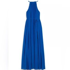 NWT Ted Baker Blue Helyos Pleated Chiffon Maxi Dress Size 0